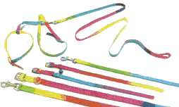 SNAPS ® Rainbow Collar 10mm x 30cm