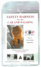 Large Car & Walking Harness